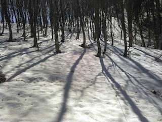 c0359615_17042844.jpg