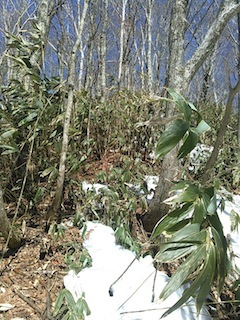 c0359615_17044368.jpg