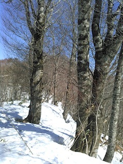 c0359615_17051015.jpg