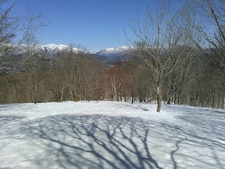 c0359615_17060054.jpg