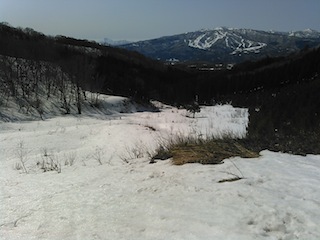 c0359615_17091241.jpg