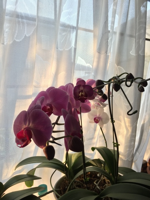 a0251116_16465130.jpeg