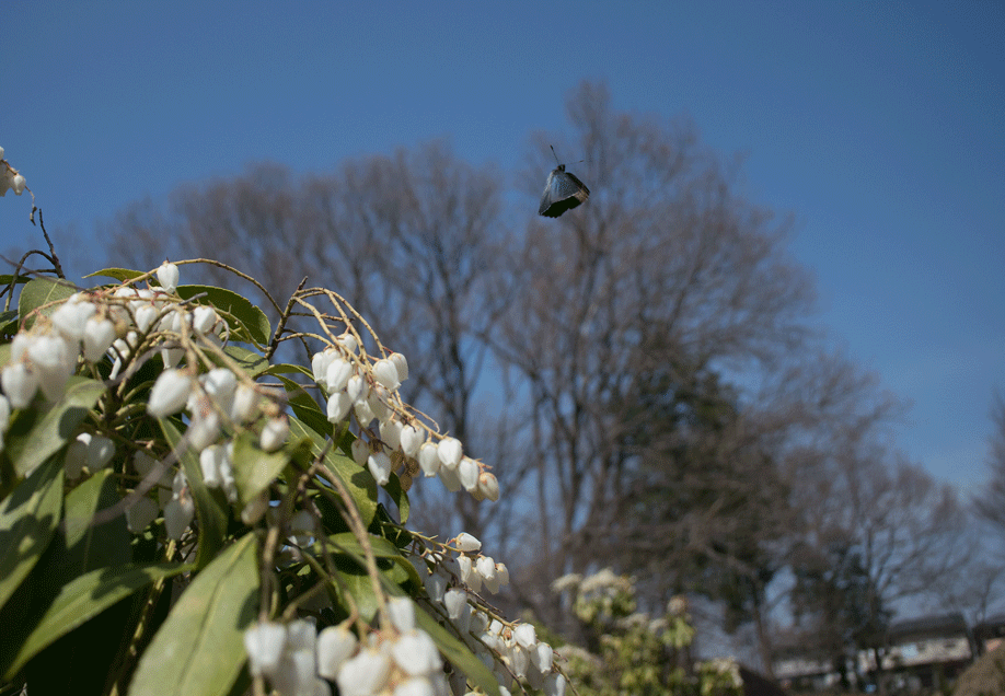 a0126632_18281568.gif