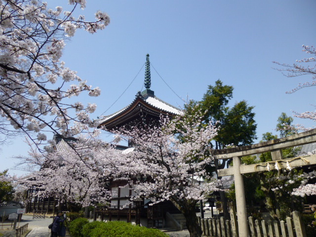 グルどん×西郷どん ⑩「篤姫はどこへ」_d0106134_18015380.jpg