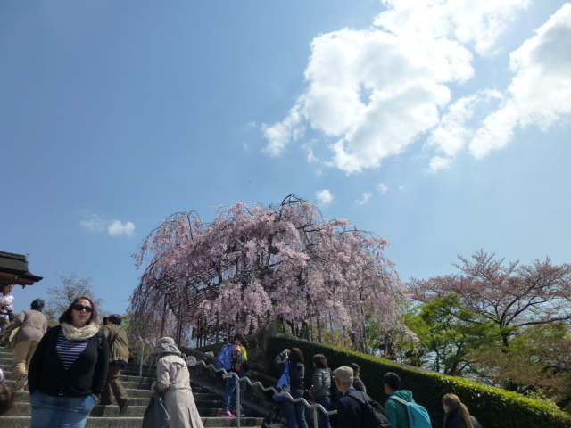 グルどん×西郷どん ⑩「篤姫はどこへ」_d0106134_18025301.jpg