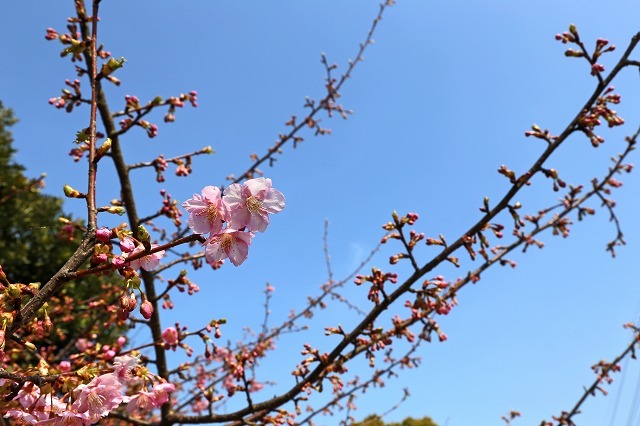 a0242438_18385257.jpg