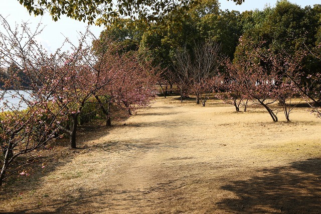 a0242438_18385998.jpg