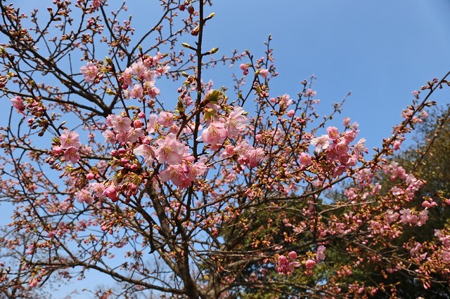 a0242438_18403518.jpg