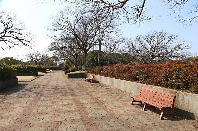 a0242438_18414662.jpg