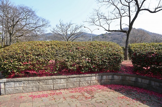 a0242438_18414666.jpg