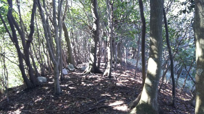c0077338_18390913.jpg