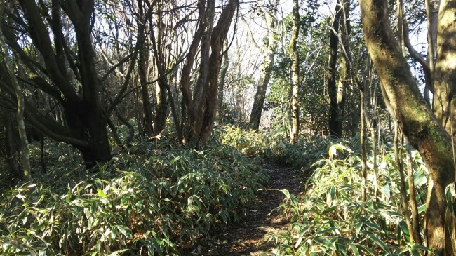 c0077338_18392815.jpg