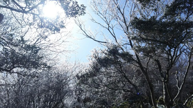c0077338_18401037.jpg