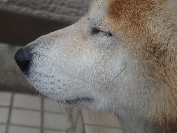 a0054240_21342525.jpg