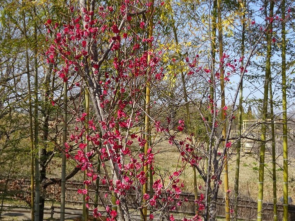 b0299042_21361771.jpg