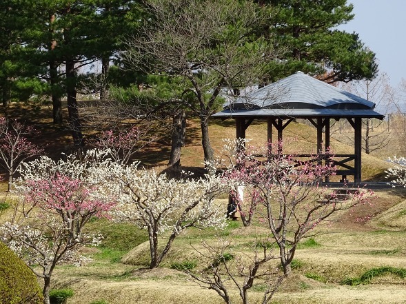 b0299042_21362651.jpg