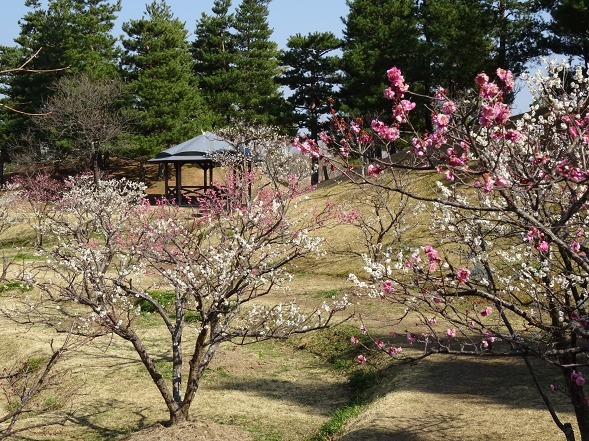 b0299042_21370565.jpg