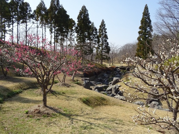 b0299042_21371111.jpg