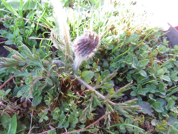 d0333943_06480159.jpg