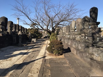 小石川・伝通院_e0090555_00065977.jpg