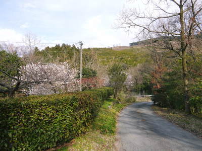 大学時代の先輩たちが春の訪れとともに遊びに来てくれました!株式会社旬援隊の春の様子2018_a0254656_18052747.jpg