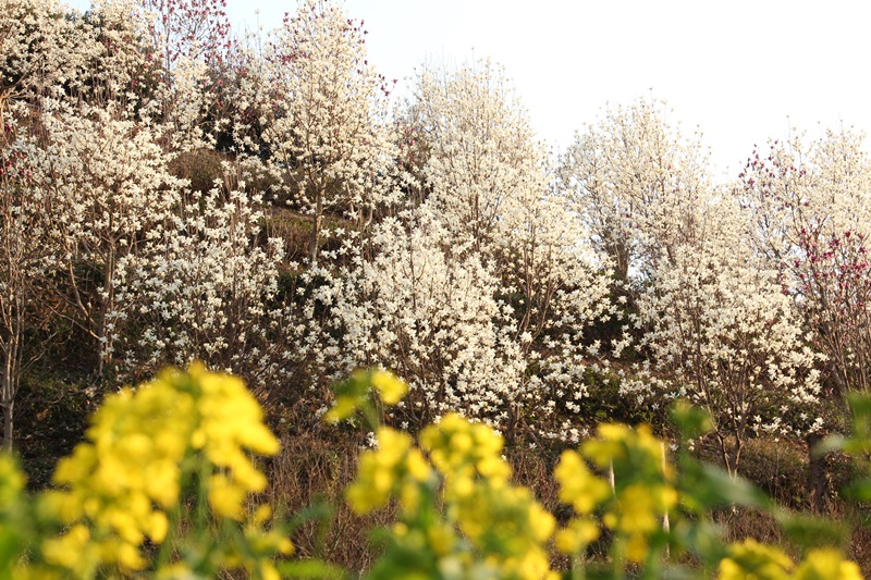 a0167759_1412259.jpg