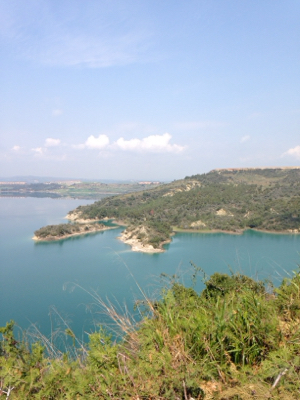 d0183861_19555314.jpg