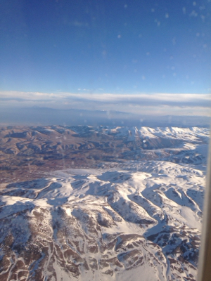 d0183861_19561041.jpg
