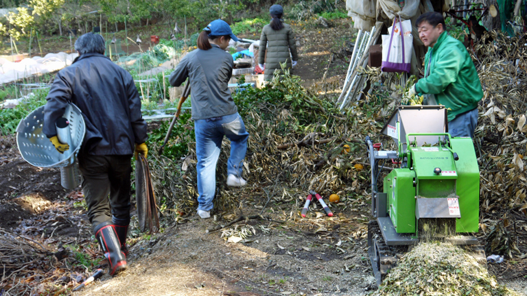枯れ木伐採と樹木の剪定作業を続行:3・17六国見山定例_c0014967_2032224.jpg