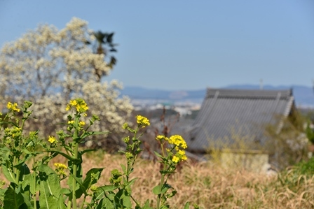 c0303868_07342589.jpg