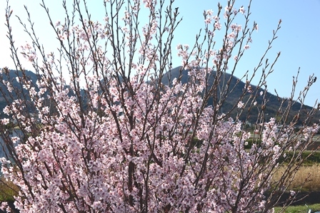 c0303868_07352642.jpg