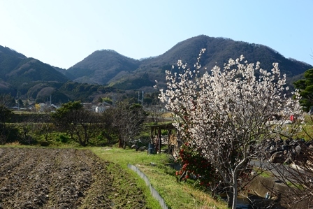 c0303868_07354587.jpg