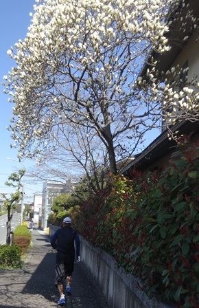 c0303868_07371321.jpg