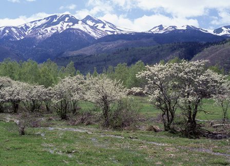 c0303868_07392056.jpg