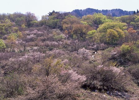c0303868_07395564.jpg