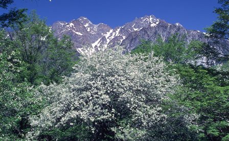 c0303868_07432859.jpg
