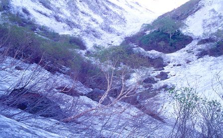 c0303868_07440773.jpg
