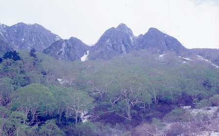 c0303868_07443934.jpg