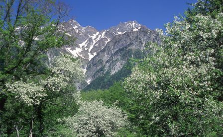 c0303868_07455070.jpg