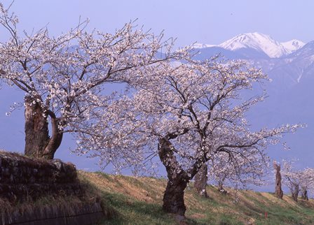 c0303868_08150840.jpg