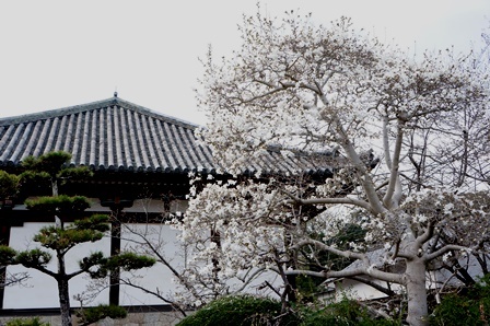 c0303868_16490063.jpg