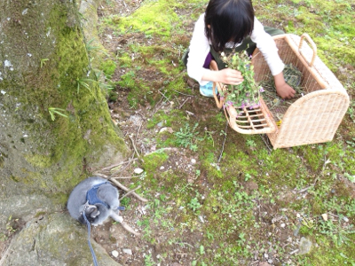 MOMOKOとHARU***_e0290872_16512323.jpg