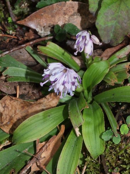 b0135573_20413148.jpg