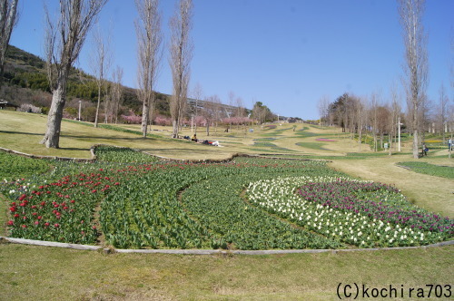 e0181373_21562027.jpg