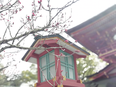 c0152274_02450238.gif