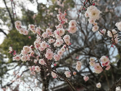 c0152274_02560339.gif
