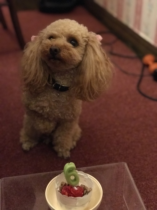 a0241377_21441603.jpeg