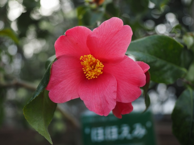 c0183777_19364742.jpg
