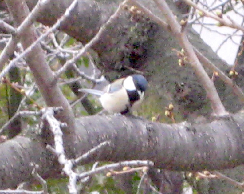 b0057679_09221846.jpg