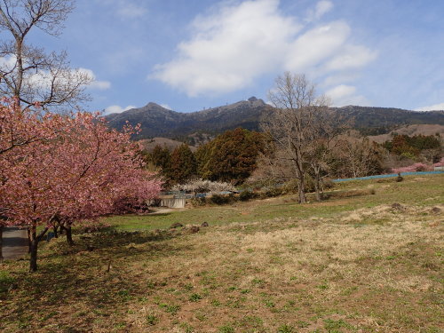f0348480_20401809.jpg